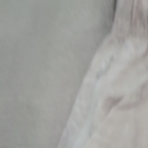 Abercrombie & Fitch Cream Athletic Shorts size medium #hp - Picture 3 of 5